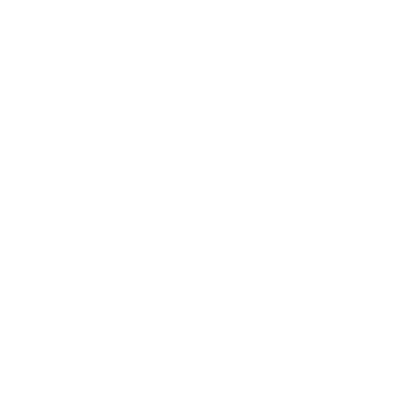 Wylan Energy logo